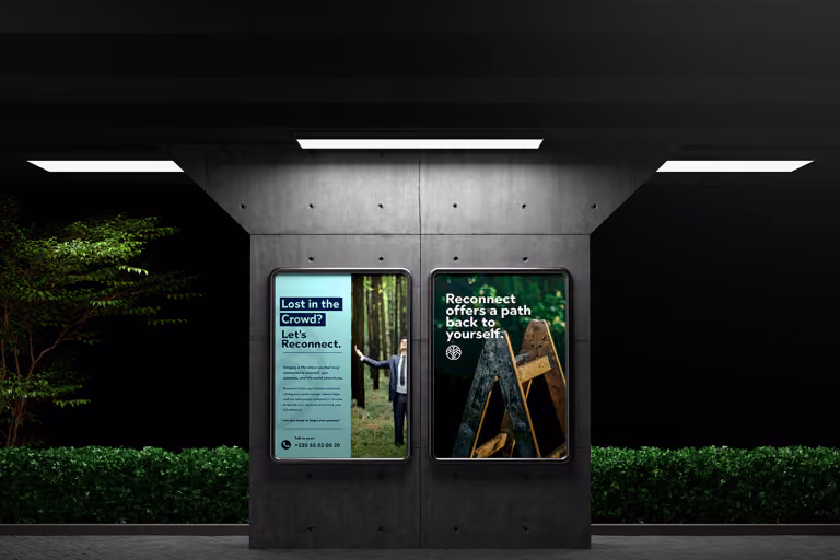 Brand identity and web design project showcasing visual design expertise