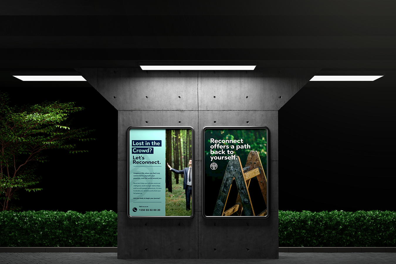 Brand identity and web design project showcasing visual design expertise